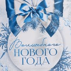 Пакет подарочный новогодний ламинированный «Снежная история», ML 21 х 25 х 8 см, Новый год (комплект 2 шт) - фото 22581400