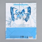 Пакет подарочный новогодний ламинированный «Снежная история», ML 21 х 25 х 8 см, Новый год (комплект 2 шт) - фото 25479461