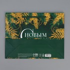 Пакет ламинированный горизонтальный «Изумруд», MS 23 × 18 × 8 см - Фото 8