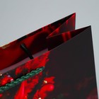 Пакет ламинированный вертикальный «Новогоднее настроение», ML 21 × 25 × 8 см - Фото 6