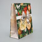 Пакет подарочный новогодний ламинированный «Подарок для тебя», ML 21 х 25 х 8 см 9543860