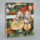 Пакет подарочный новогодний ламинированный «Подарок для тебя», ML 21 х 25 х 8 см 9543860