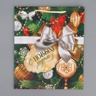 Пакет подарочный новогодний ламинированный «Подарок для тебя», ML 21 х 25 х 8 см 9543860