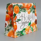 Пакет ламинированный горизонтальный «Цитрусовый коктель», MS 23 х 18 х 8 см, Новый год - фото 22581476