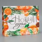 Пакет ламинированный горизонтальный «Цитрусовый коктель», MS 23 х 18 х 8 см, Новый год - фото 22581477