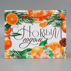 Пакет ламинированный горизонтальный «Цитрусовый коктель», MS 23 х 18 х 8 см, Новый год - фото 22581478