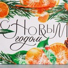 Пакет ламинированный горизонтальный «Цитрусовый коктель», MS 23 х 18 х 8 см, Новый год - фото 22581479