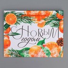 Пакет ламинированный горизонтальный «Цитрусовый коктель», MS 23 х 18 х 8 см, Новый год - фото 22581481