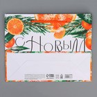 Пакет ламинированный горизонтальный «Цитрусовый коктель», MS 23 х 18 х 8 см, Новый год - фото 22581482