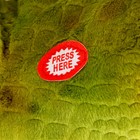 Мягкая музыкальная игрушка «Динозаврик», 31 см, цвет зелёный - Фото 5