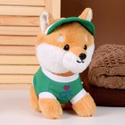 Мягкая игрушка «Собака» в зелёной кепке, 23 см - фото 320037655