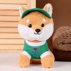 Мягкая игрушка «Собака» в зелёной кепке, 23 см - Фото 2