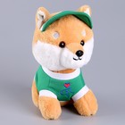 Мягкая игрушка «Собака» в зелёной кепке, 23 см - Фото 4
