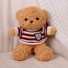 Мягкая игрушка «Медведь» в кофте, 28 см, цвет бежевый - фото 68797570
