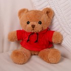 Мягкая игрушка «Медведь» в толстовке, 28 см, цвет МИКС - фото 320037678