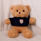 Мягкая игрушка «Медведь» в кофте, 28 см, цвет МИКС - фото 731612