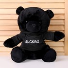 Мягкая игрушка «Чёрный медведь» в кофте, 26 см - фото 3379179