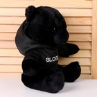 Мягкая игрушка «Чёрный медведь» в кофте, 26 см - Фото 3