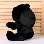 Мягкая игрушка «Чёрный медведь» в кофте, 26 см - Фото 4