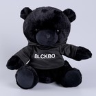 Мягкая игрушка «Чёрный медведь» в кофте, 26 см - Фото 5