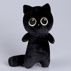 Мягкая игрушка «Кот», 30 см, цвет чёрный - Фото 4