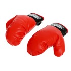 Набор для бокса «Профи 2», напольная груша с присоской, перчатки, 70-100 см, уценка - Фото 8