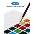 Акварель 24 цвета Гамма "Классическая", без кисти, пластик, европодвес (1009198) 9309513 - фото 13592299