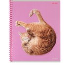 Тетрадь 48 листов в клетку на гребне "Такие смешные кошки", обложка мелованный картон, МИКС - Фото 4