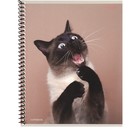 Тетрадь 48 листов в клетку на гребне "Такие смешные кошки", обложка мелованный картон, МИКС - Фото 5