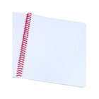 Тетрадь 48 листов в клетку на гребне VIVA MAGENTA, обложка мелованный картон, Soft touch, МИКС - фото 22524865