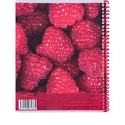 Тетрадь 48 листов в клетку на гребне VIVA MAGENTA, обложка мелованный картон, Soft touch, МИКС - фото 22524867