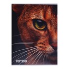 Тетрадь А4 80 листов в клетку на скрепке "Дикая кошка", обложка мелованный картон - фото 320037728