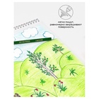 Карандаши цветные 12 цветов «Гамма. Мультики», трёхгранные, заточенные, картонная упаковка, (290122_12) - Фото 11