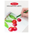 Карандаши цветные 12 цветов «Гамма. Мультики», трёхгранные, заточенные, картонная упаковка, (290122_12) - Фото 7