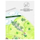 Карандаши цветные 12 цветов «Гамма. Мультики», трёхгранные, заточенные, картонная упаковка, (290122_12) - Фото 8