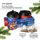 Чай подарочный новогодний «Тепло на двоих», набор 2 шт.×3 г - Фото 2