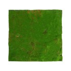 Мох искусственный, декоративный, полотно 1×1 м, рельефный, камни, Greengo - Фото 5