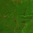 Мох искусственный, декоративный, полотно 1×1 м, рельефный, камни, Greengo - Фото 2