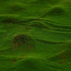 Мох искусственный, декоративный, полотно 1×1 м, рельефный, камни, Greengo - Фото 3