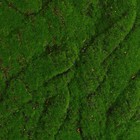 Мох искусственный, декоративный, полотно 1 × 1 м, рельефный, горный, зелёный, Greengo - Фото 2