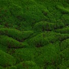 Мох искусственный, декоративный, полотно 1 × 1 м, рельефный, горный, зелёный, Greengo - Фото 3