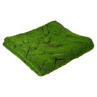 Мох искусственный, декоративный, полотно 1 × 1 м, рельефный, горный, зелёный, Greengo - Фото 6