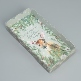 Коробка для кондитерских изделий с PVC крышкой «Волшебного Нового года», 10.5 х 21 х 3 см, Новый год