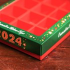 Упаковка для конфет 12 шт "2024 год", 19 х 14,5 х 3,5 см (комплект 5 шт) - фото 25374526