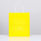 Пакет крафт "Радуга", жёлтый, 22 х 12 х 25 см, 150 г/м2 - фото 7134113