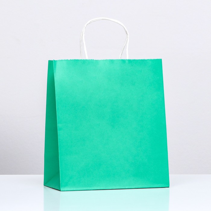 Пакет крафт «Радуга», зелёный, 22 х 12 х 25 см, 150 г/м2, 1 шт - Фото 1