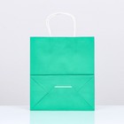 Пакет крафт «Радуга», зелёный, 22×12×25 см, 150 г/м², 1 шт. - Фото 2