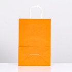 Пакет крафт «Радуга», оранжевый, 22 х 13 х 32 см, 80 г/м2, 1 шт - Фото 2