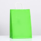 Пакет крафт «Радуга», травяной, 22×13×32 см, 80 г/м², 1 шт. - Фото 1