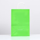 Пакет крафт «Радуга», травяной, 22×13×32 см, 80 г/м², 1 шт. - Фото 2